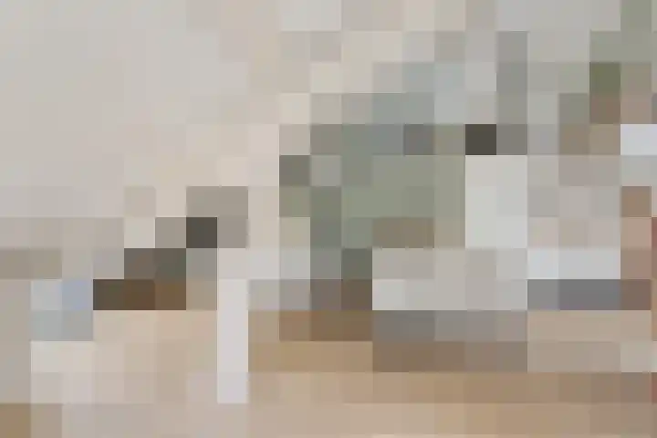 Zaalbospad 5 Velp thumbnail 24