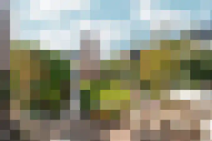 Zaalbospad 5 Velp thumbnail 37