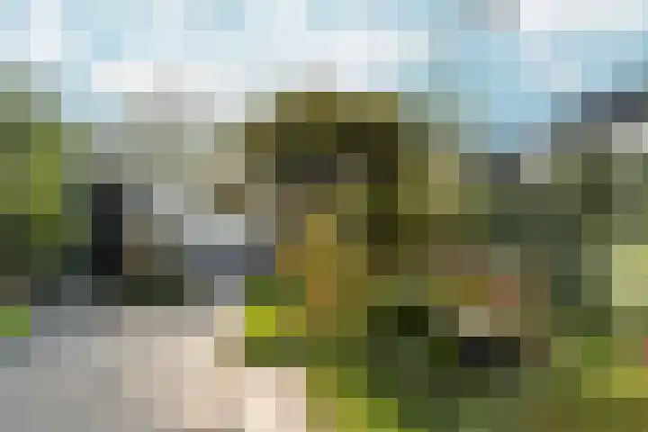 Zaalbospad 5 Velp thumbnail 40