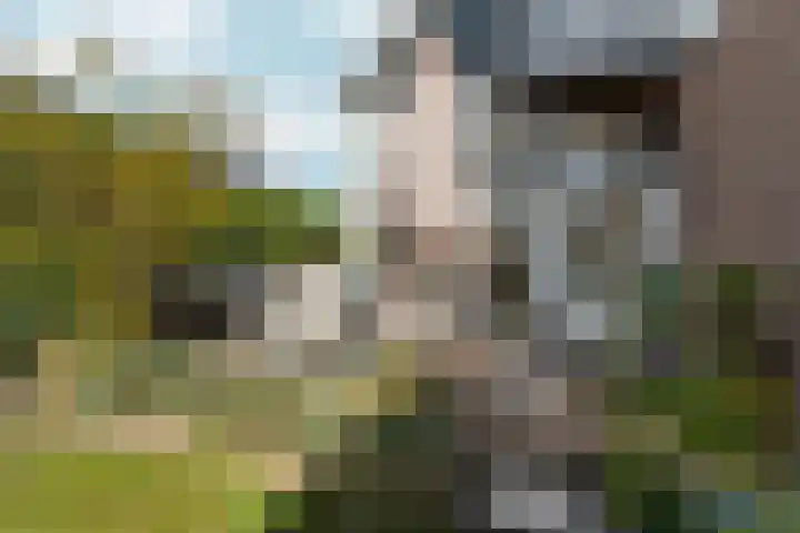Zaalbospad 5 Velp thumbnail 45