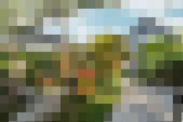 Zaalbospad 5 Velp thumbnail 5