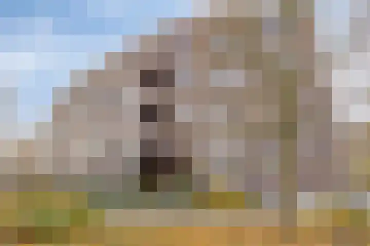 Zaalbospad 5 Velp thumbnail 56