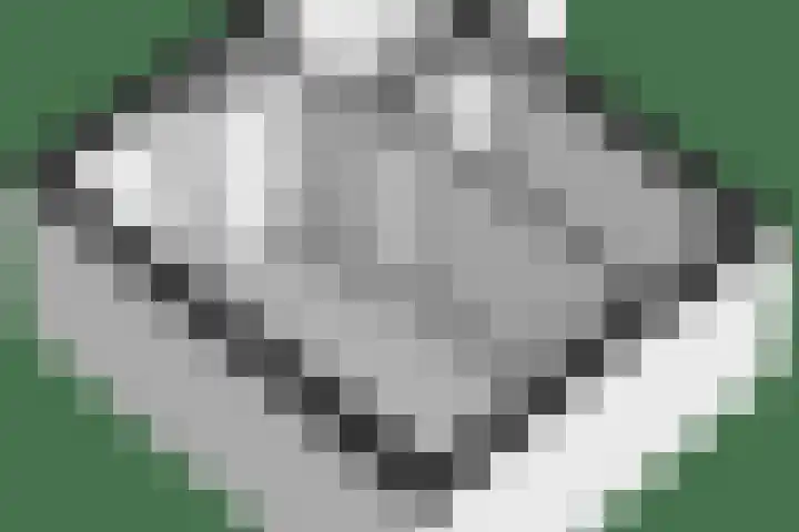 Zaalbospad 5 Velp thumbnail 57