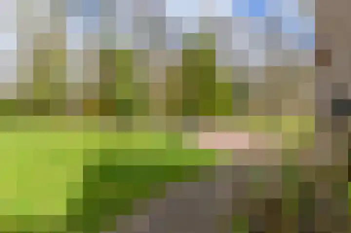 Zaalbospad 5 Velp thumbnail 9