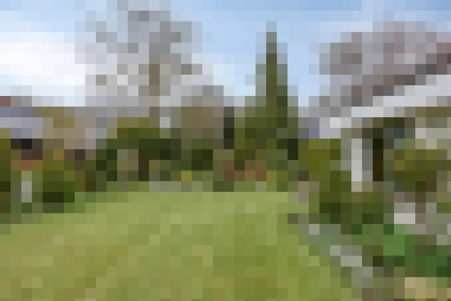 Zaalstede 3 Zuidlaren thumbnail 10