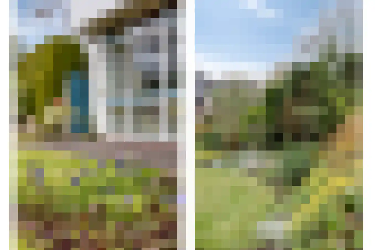 Zaalstede 3 Zuidlaren thumbnail 12