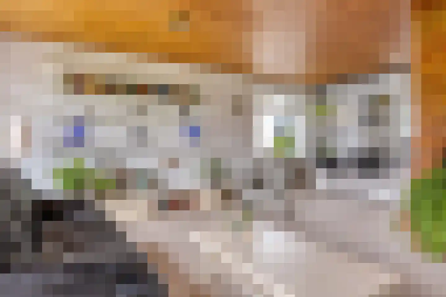 Zaalstede 3 Zuidlaren thumbnail 22