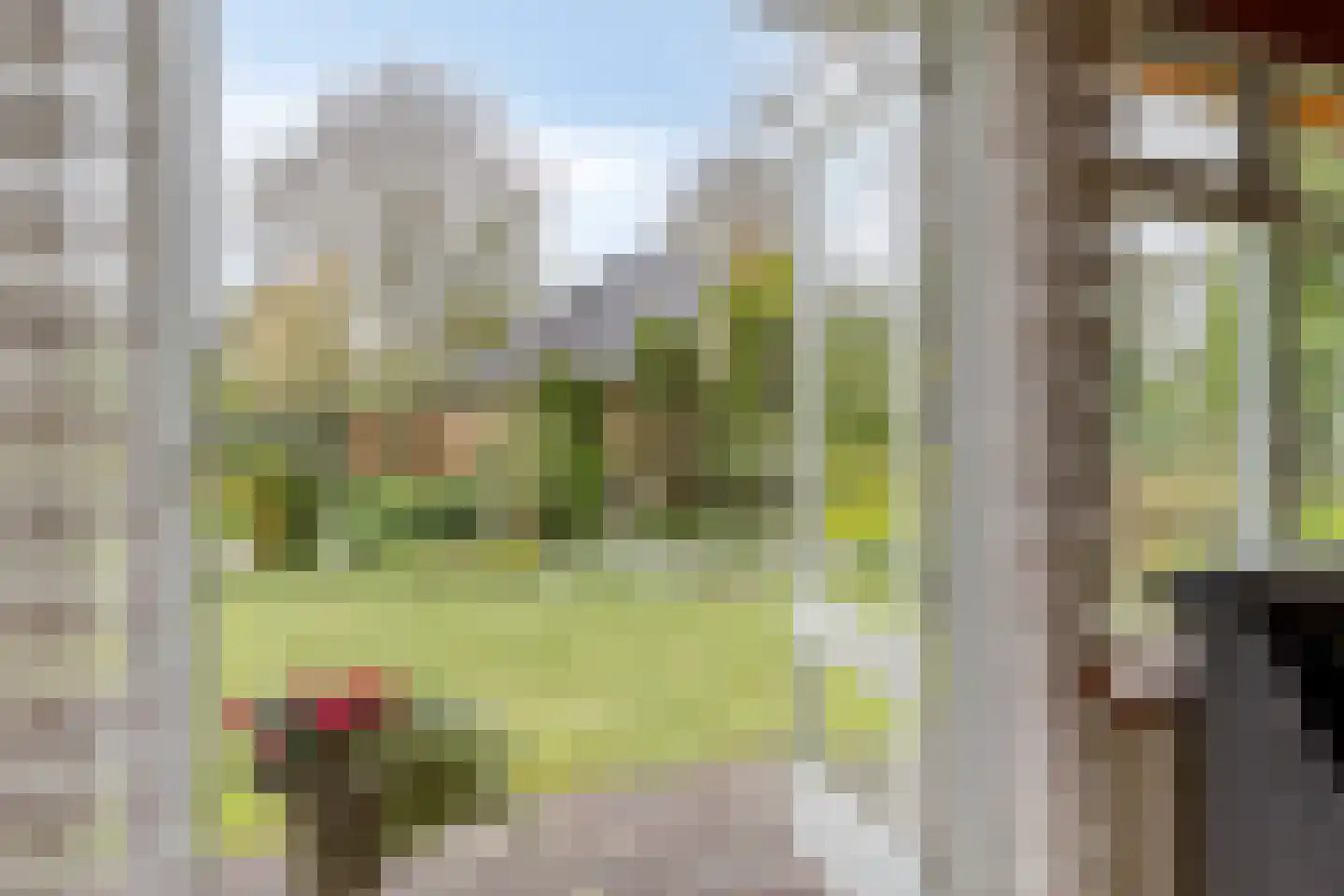 Zaalstede 3 Zuidlaren thumbnail 23