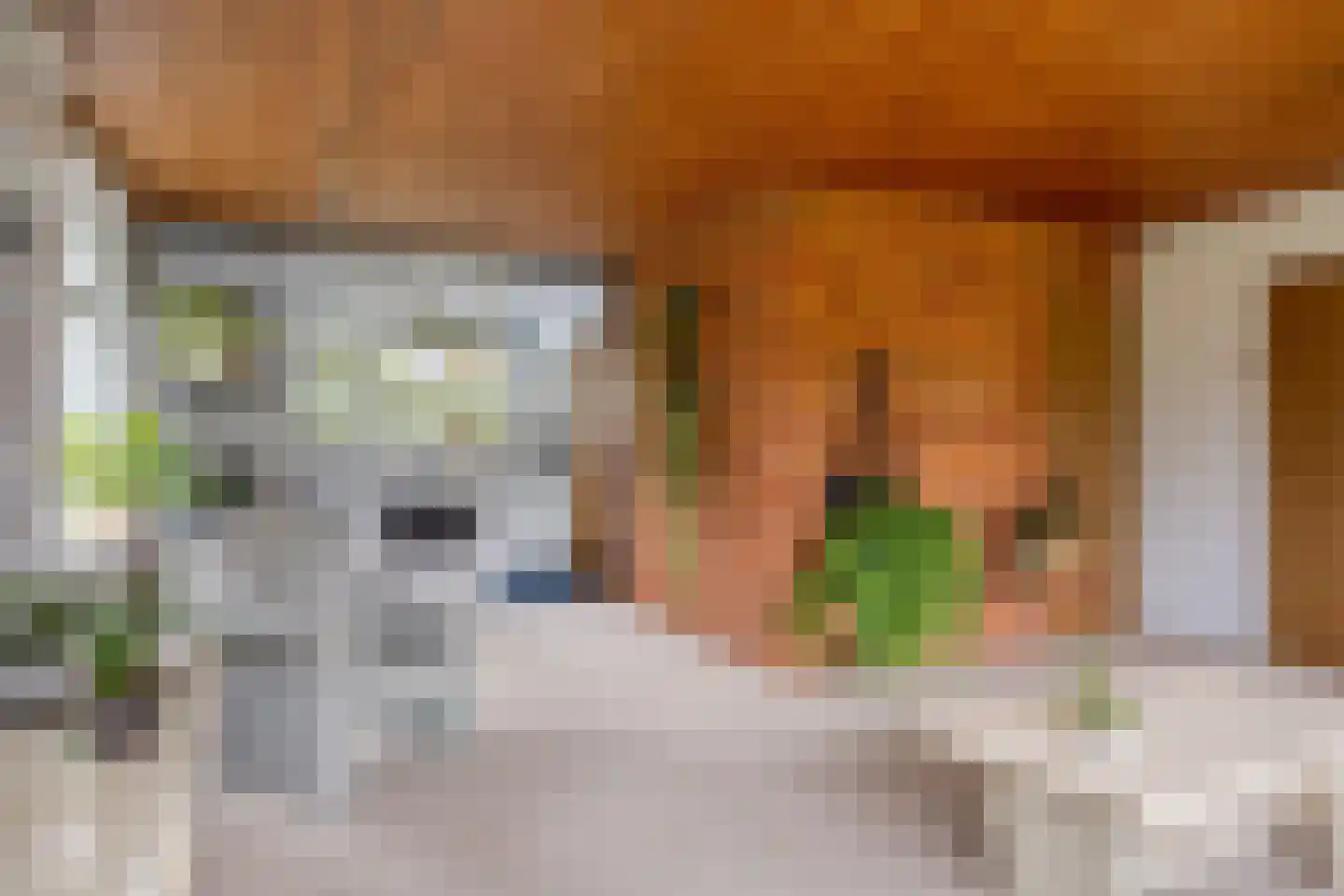 Zaalstede 3 Zuidlaren thumbnail 24