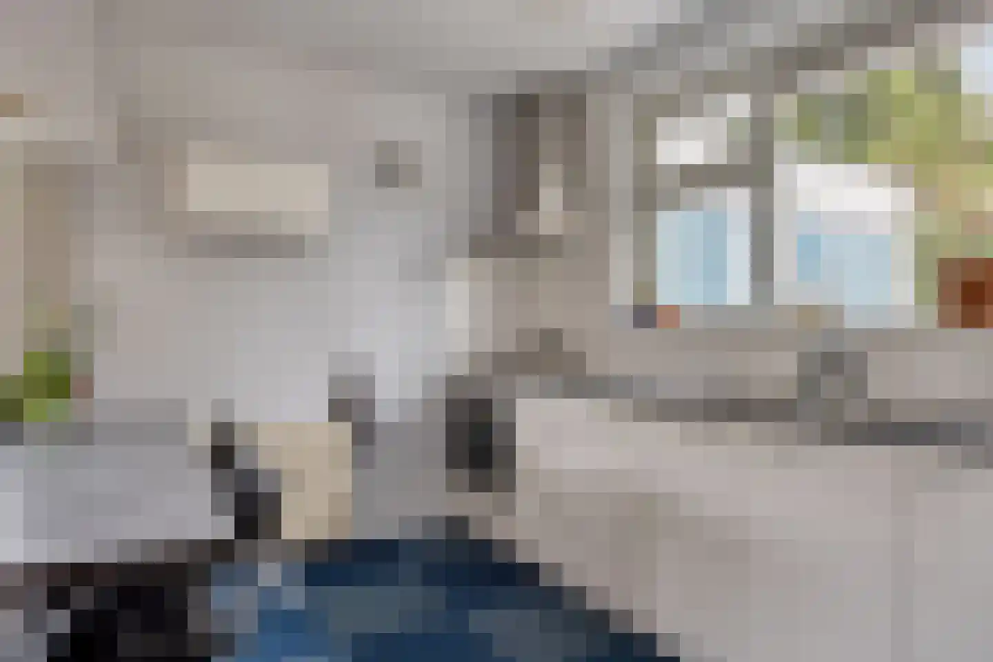 Zaalstede 3 Zuidlaren thumbnail 25