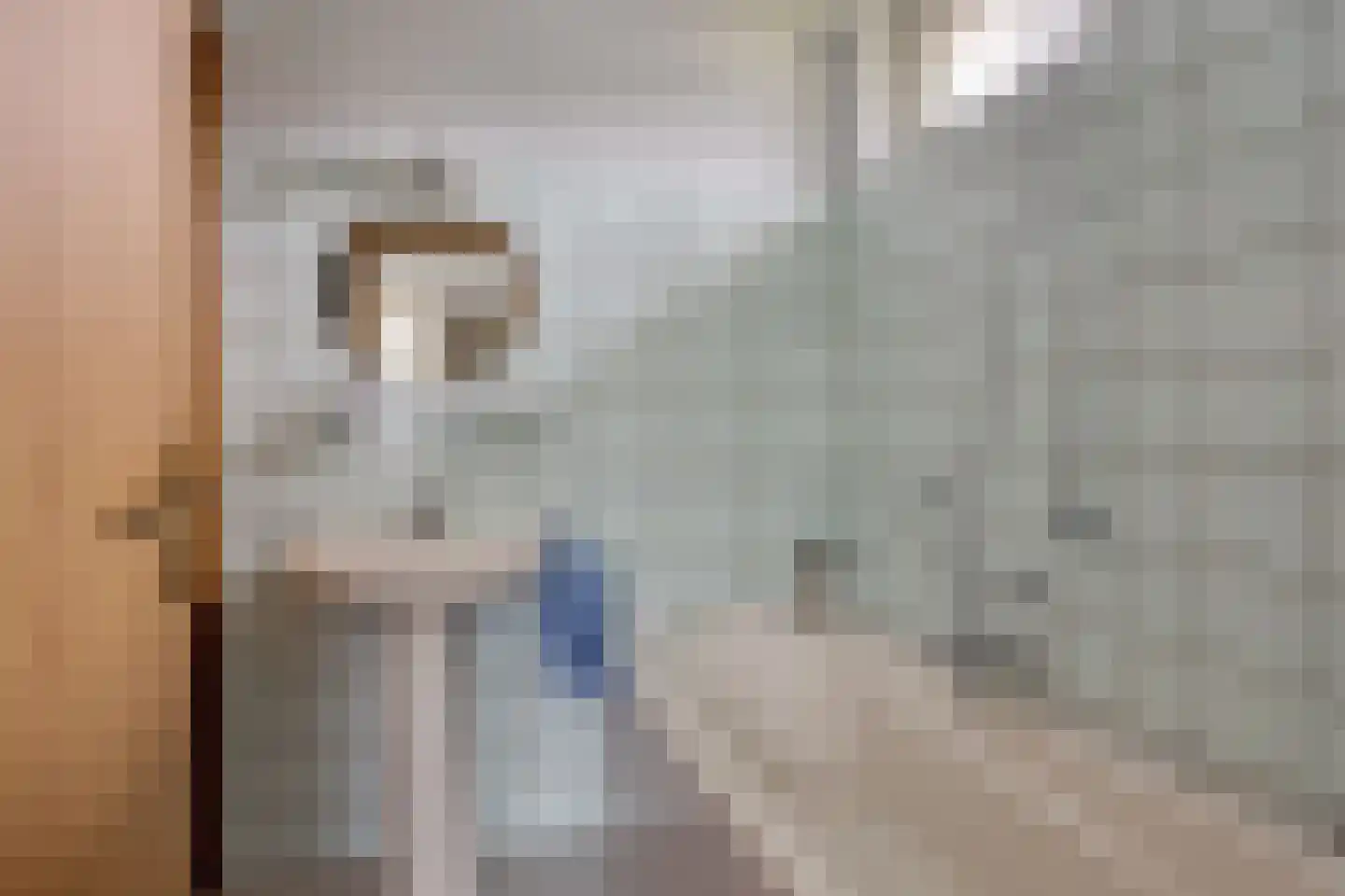 Zaalstede 3 Zuidlaren thumbnail 35