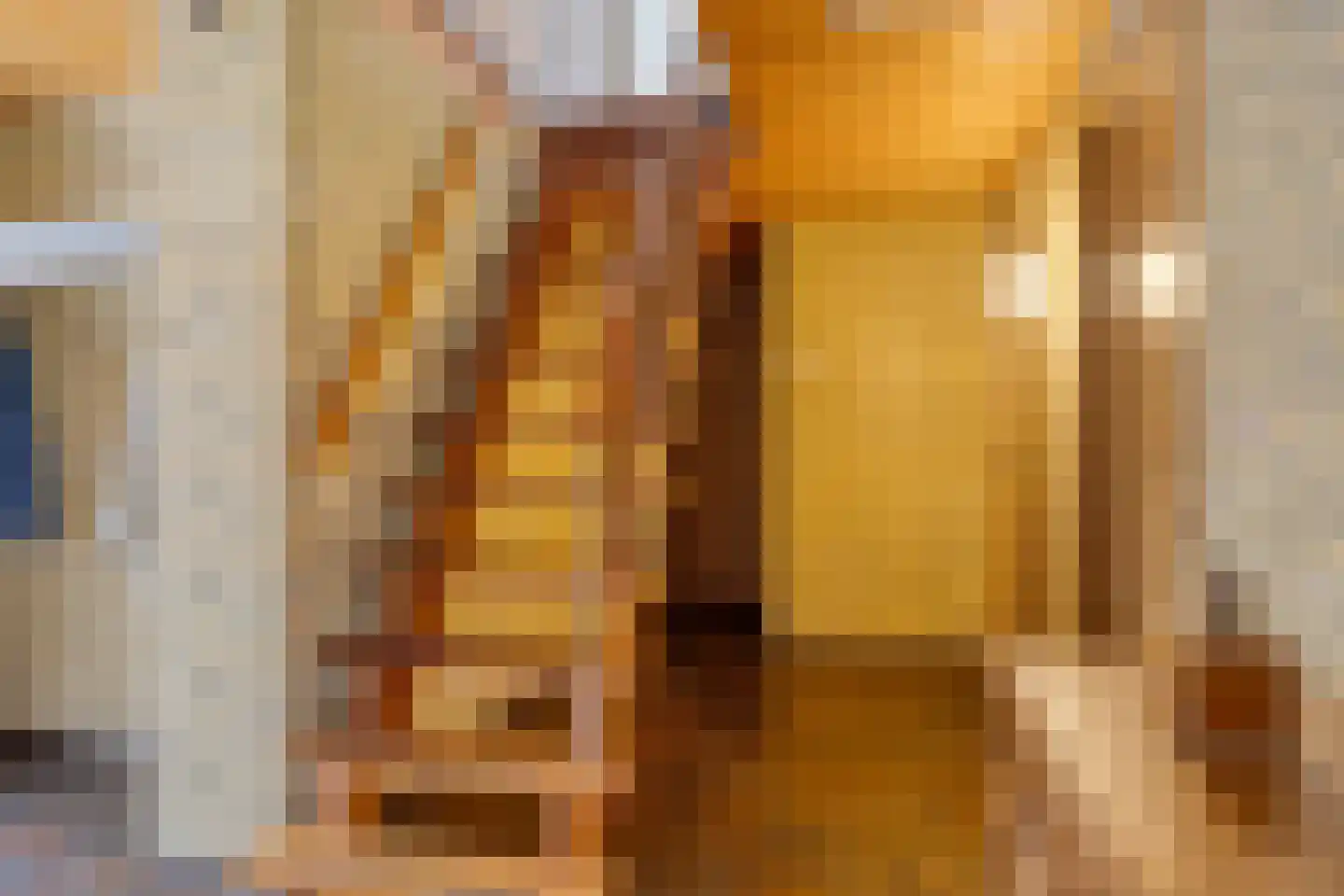 Zaalstede 3 Zuidlaren thumbnail 36