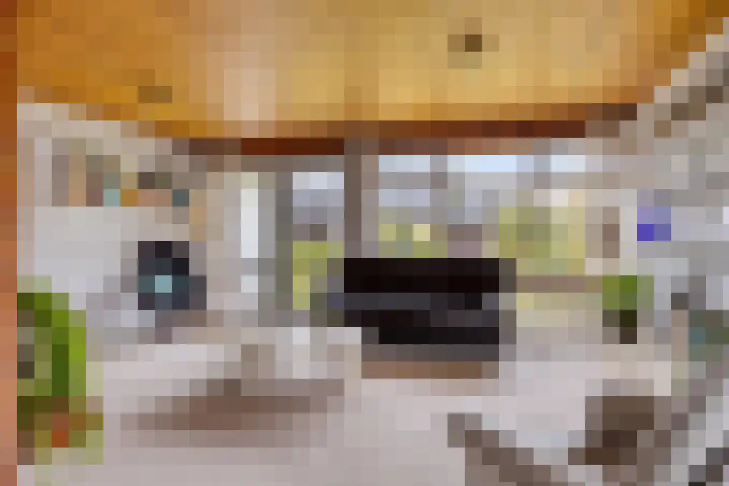 Zaalstede 3 Zuidlaren thumbnail 4