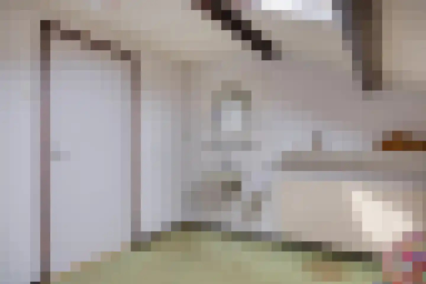 Zaalstede 3 Zuidlaren thumbnail 42