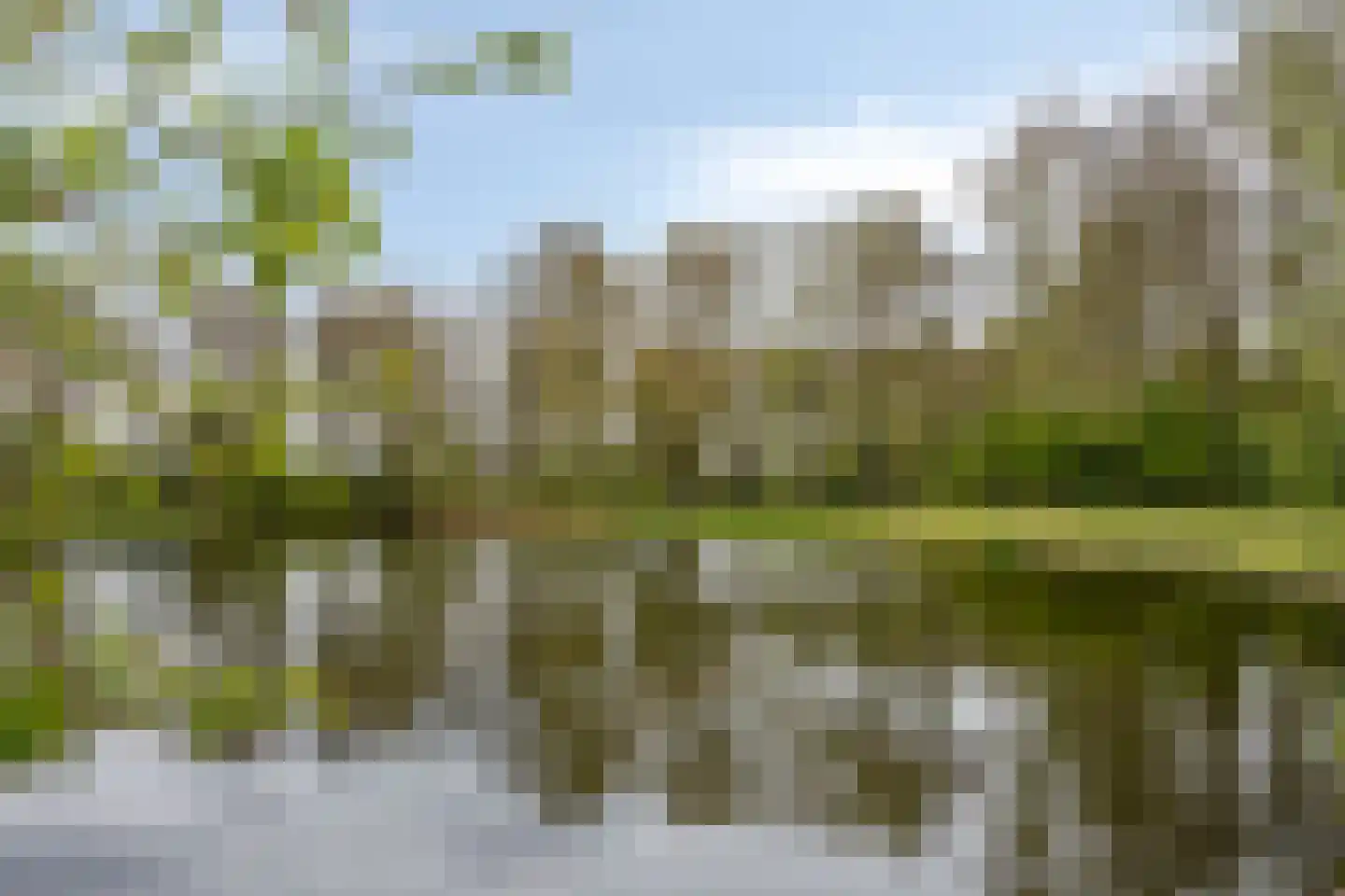 Zaalstede 3 Zuidlaren thumbnail 49