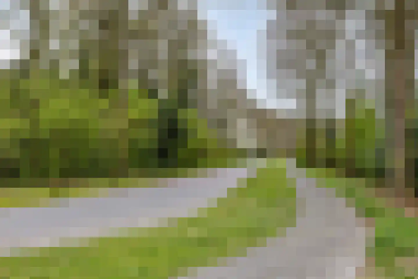 Zaalstede 3 Zuidlaren thumbnail 50