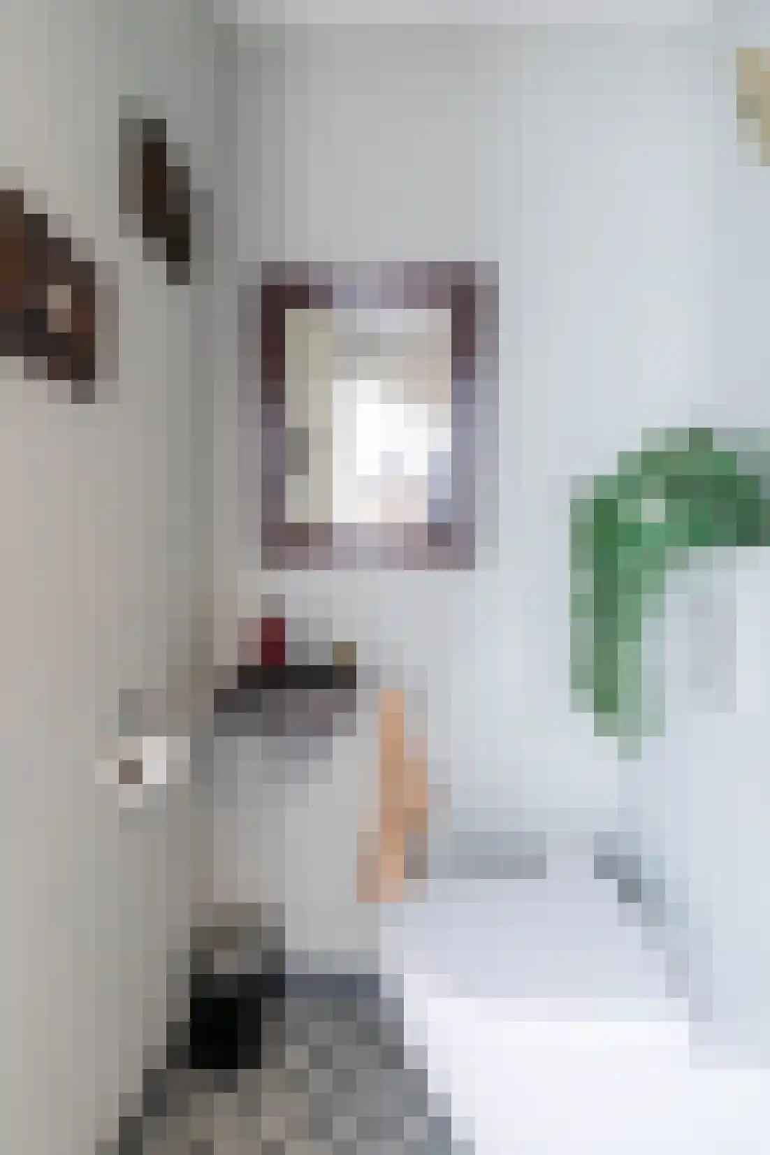 Zaamslagstraat 1 Tilburg thumbnail 10
