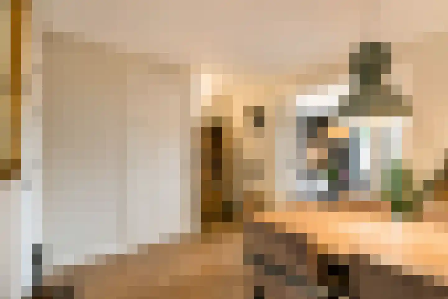 Zaamslagstraat 1 Tilburg thumbnail 17