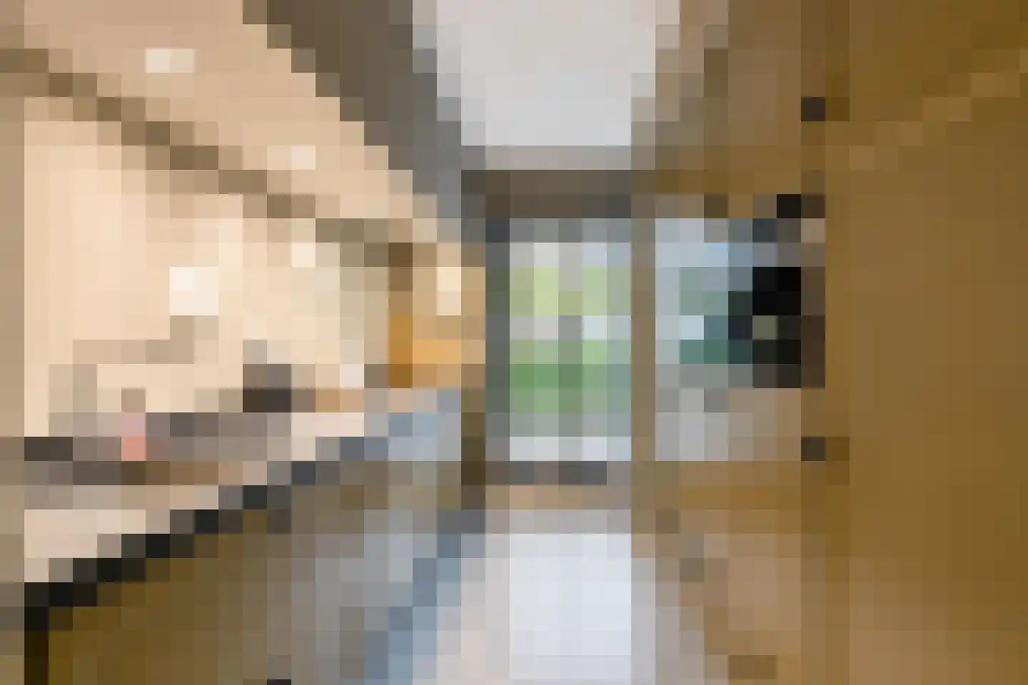 Zaamslagstraat 1 Tilburg thumbnail 19