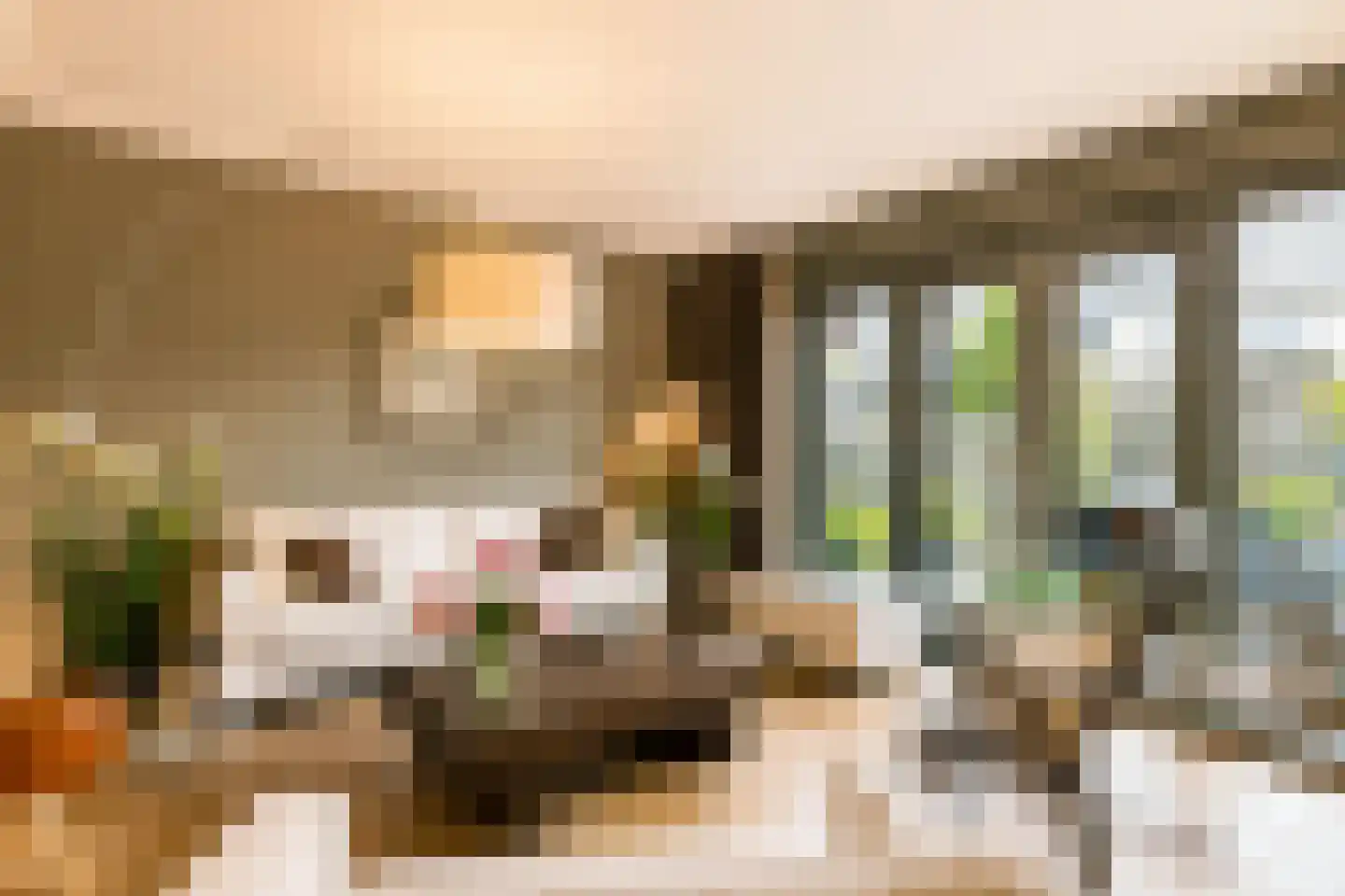 Zaamslagstraat 1 Tilburg thumbnail 20