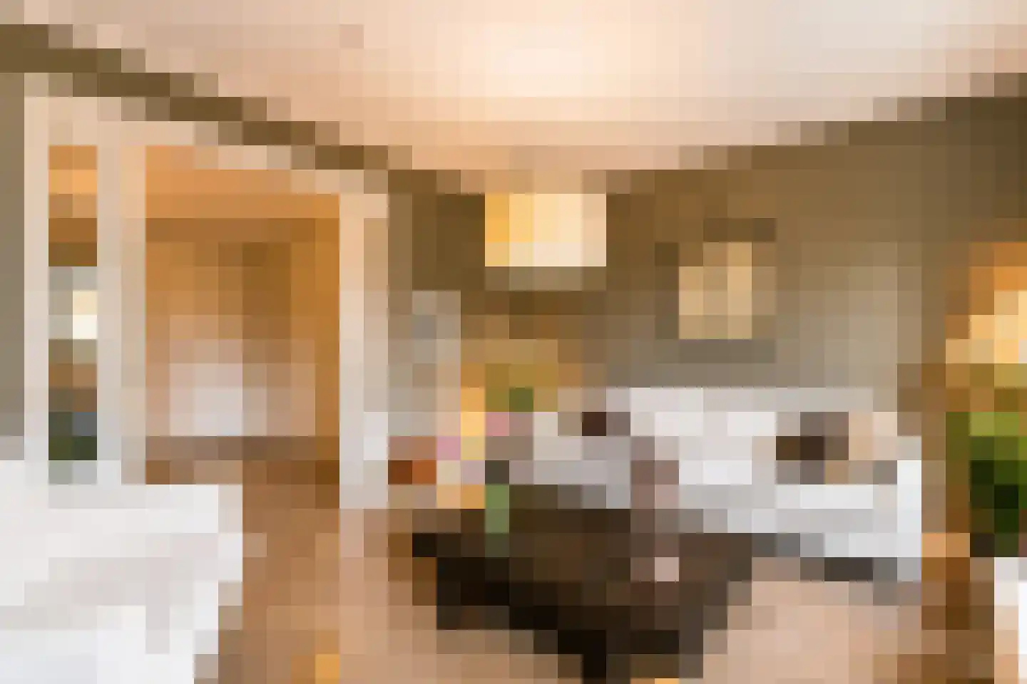 Zaamslagstraat 1 Tilburg thumbnail 21