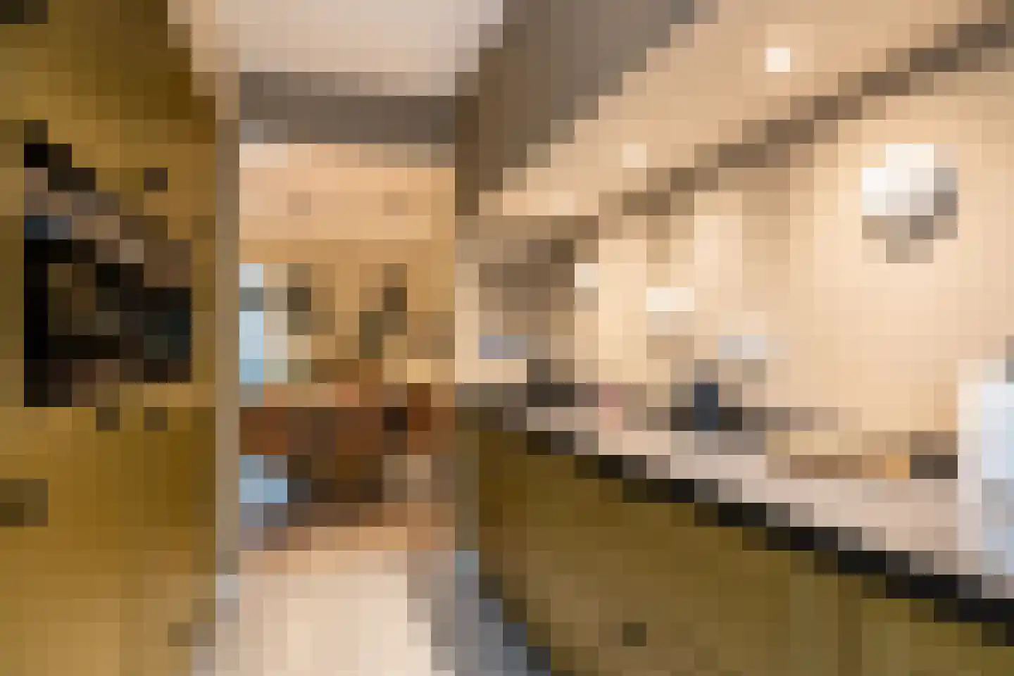Zaamslagstraat 1 Tilburg thumbnail 4