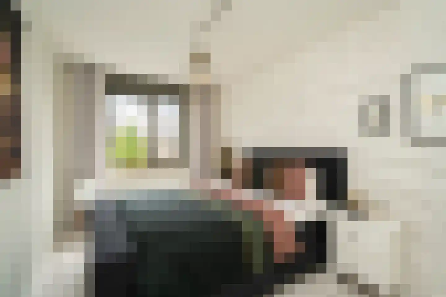 Zaamslagstraat 2 Tilburg thumbnail 18