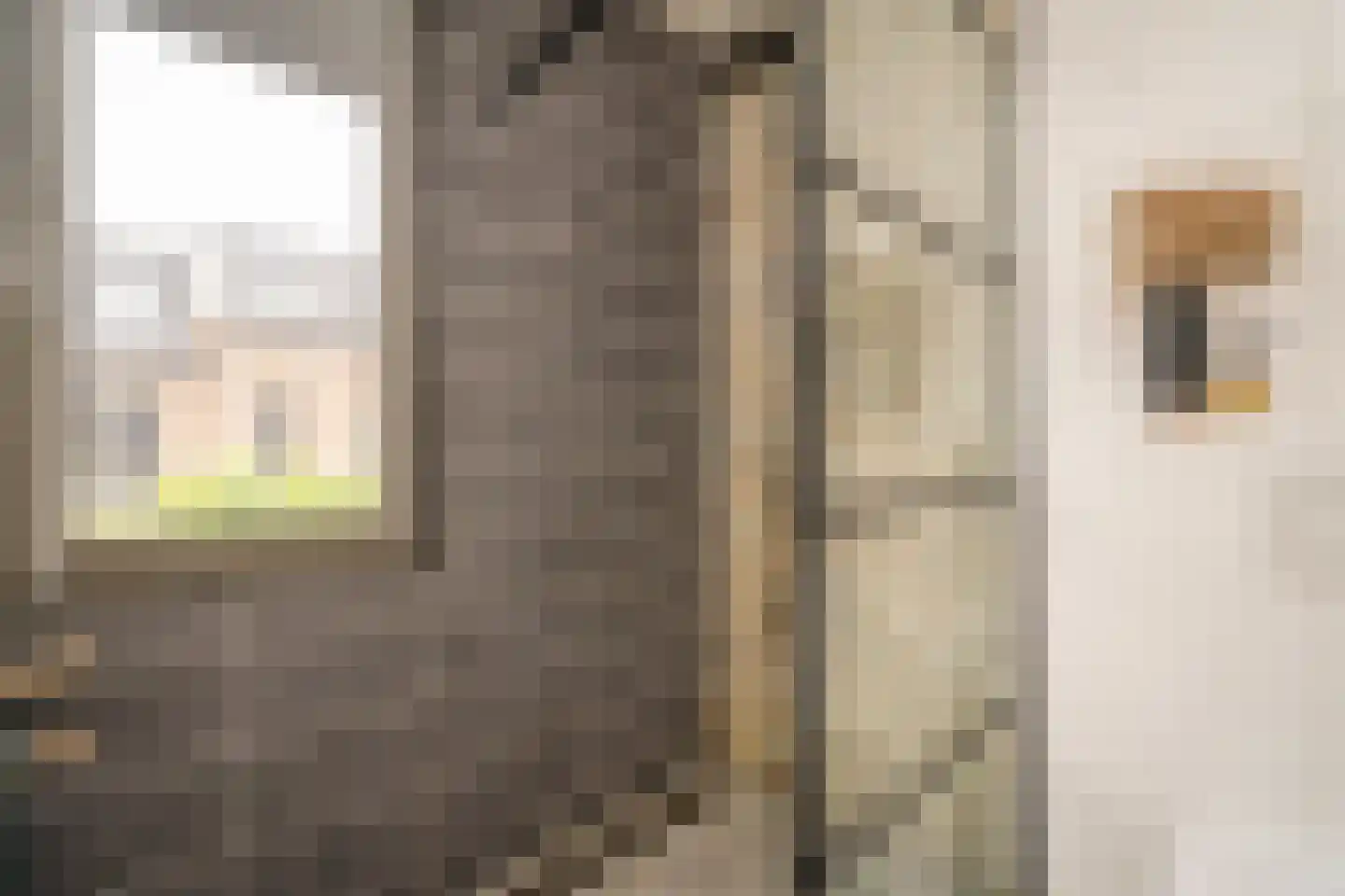 Zaamslagstraat 2 Tilburg thumbnail 27
