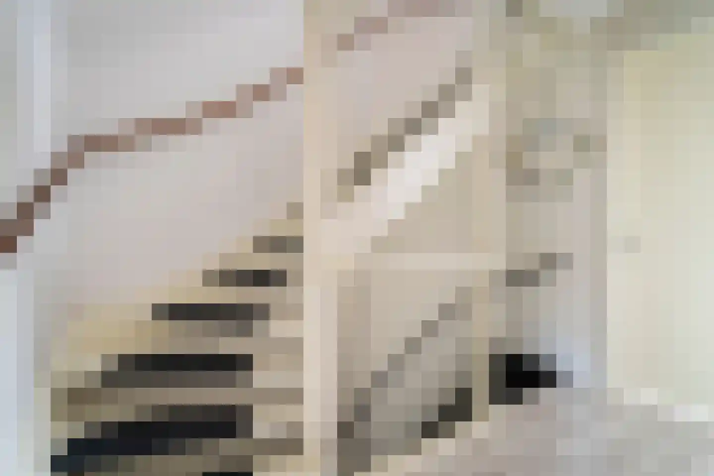 Zaamslagstraat 2 Tilburg thumbnail 30