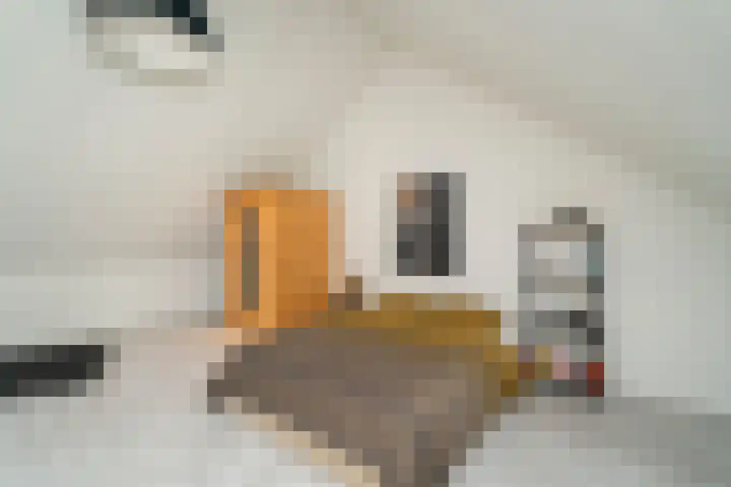 Zaamslagstraat 2 Tilburg thumbnail 31
