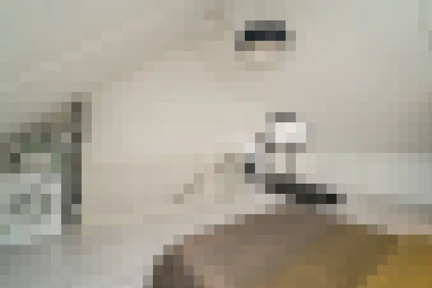 Zaamslagstraat 2 Tilburg thumbnail 33