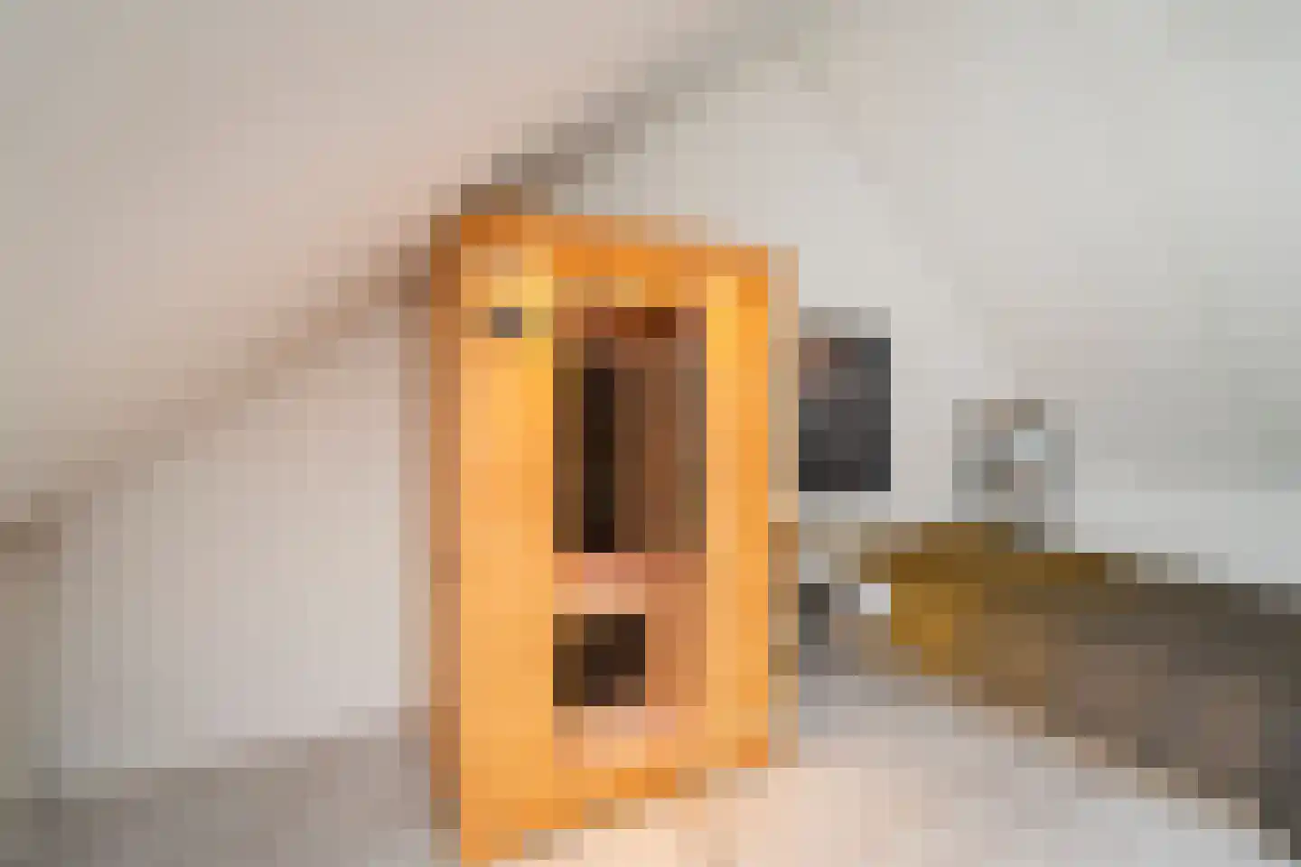 Zaamslagstraat 2 Tilburg thumbnail 34