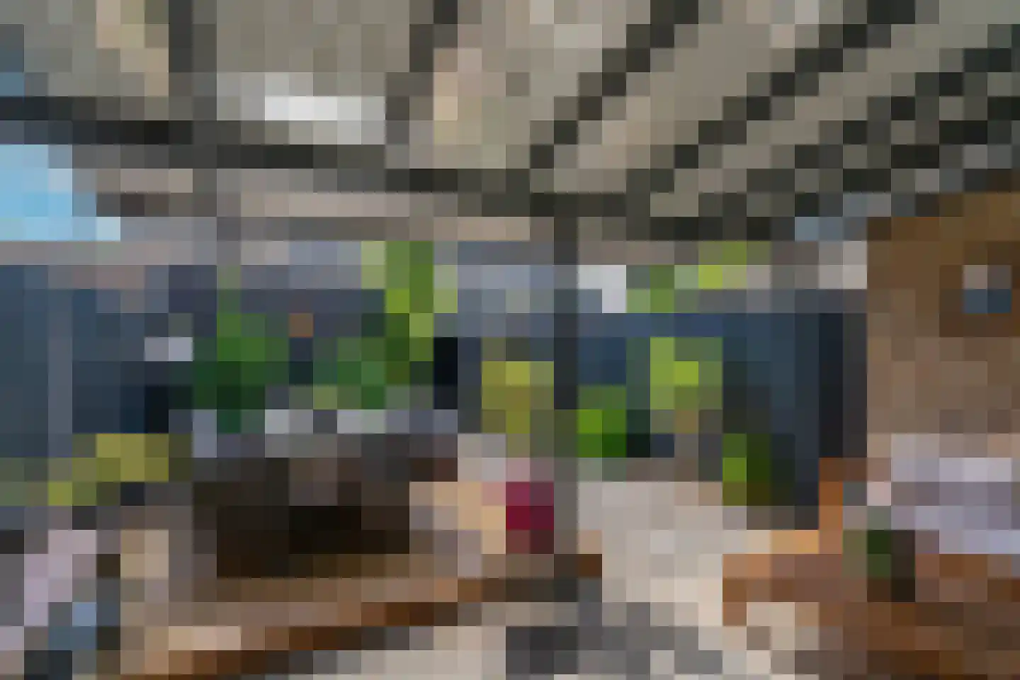 Zaamslagstraat 2 Tilburg thumbnail 37