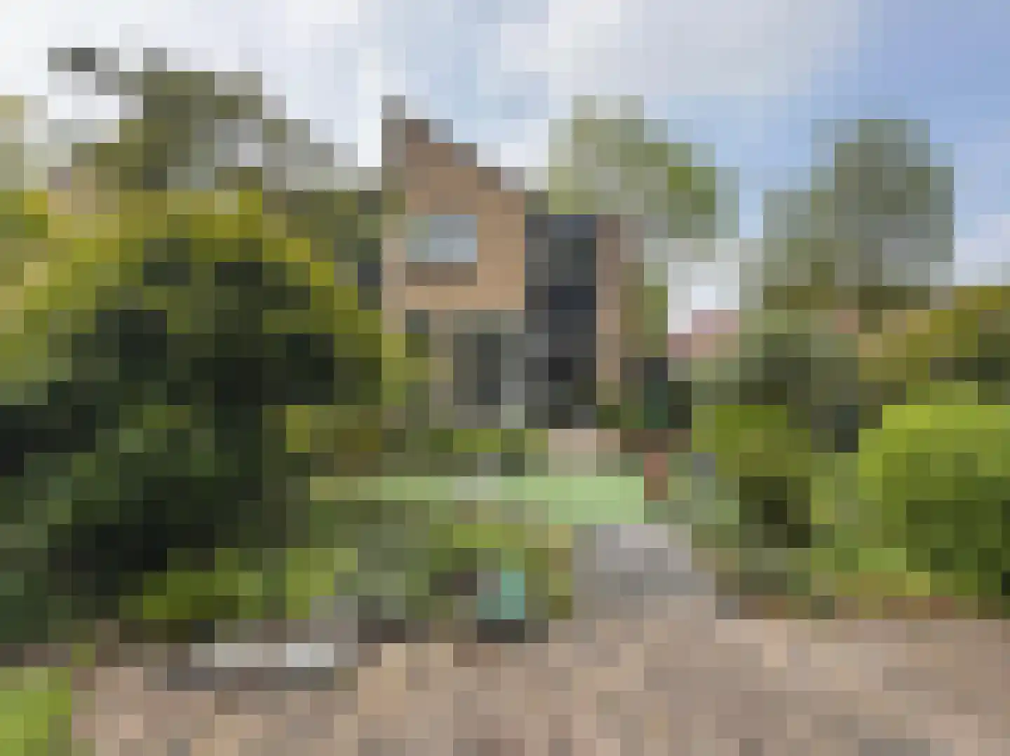 Zaan 1 in Pijnacker