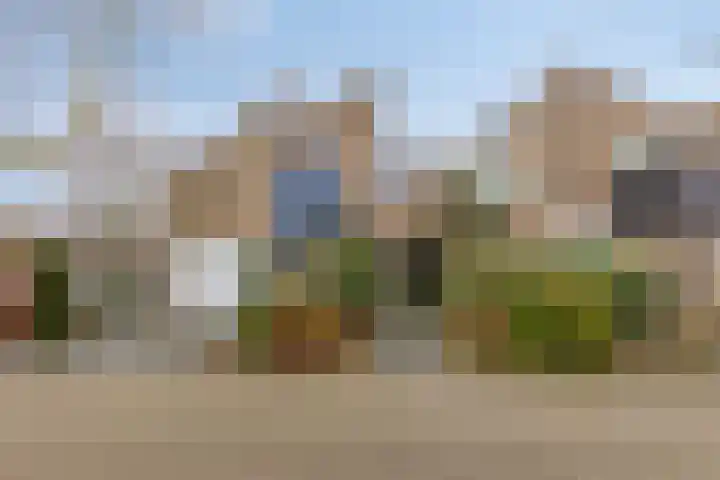 Zaan 1 en Pijnacker