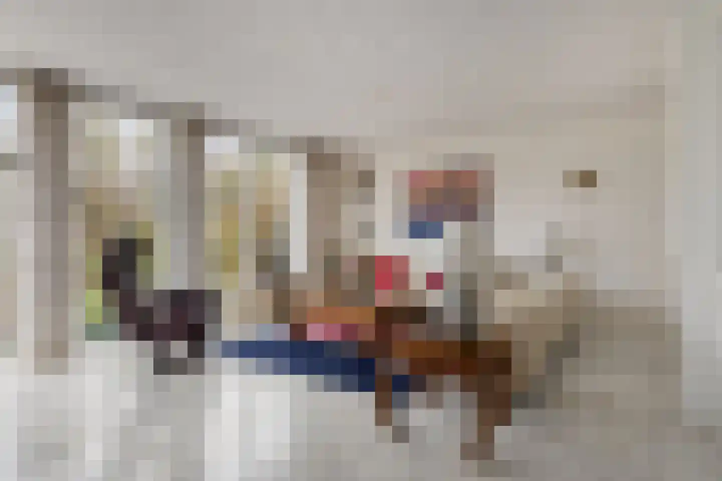 Zaan 1 Pijnacker thumbnail 10