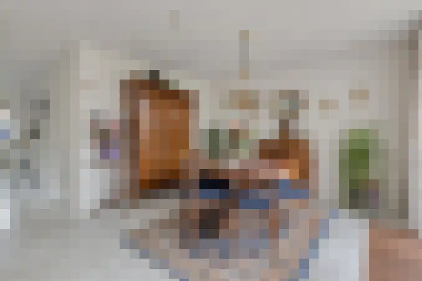 Zaan 1 Pijnacker thumbnail 13