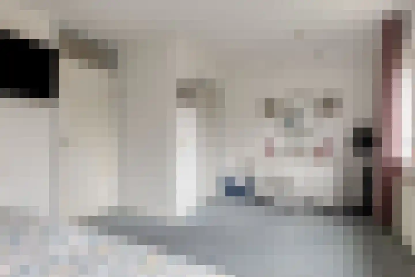 Zaan 1 Pijnacker thumbnail 19