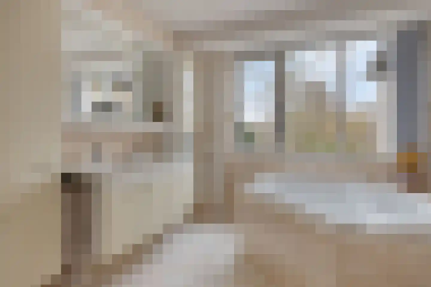 Zaan 1 Pijnacker thumbnail 21