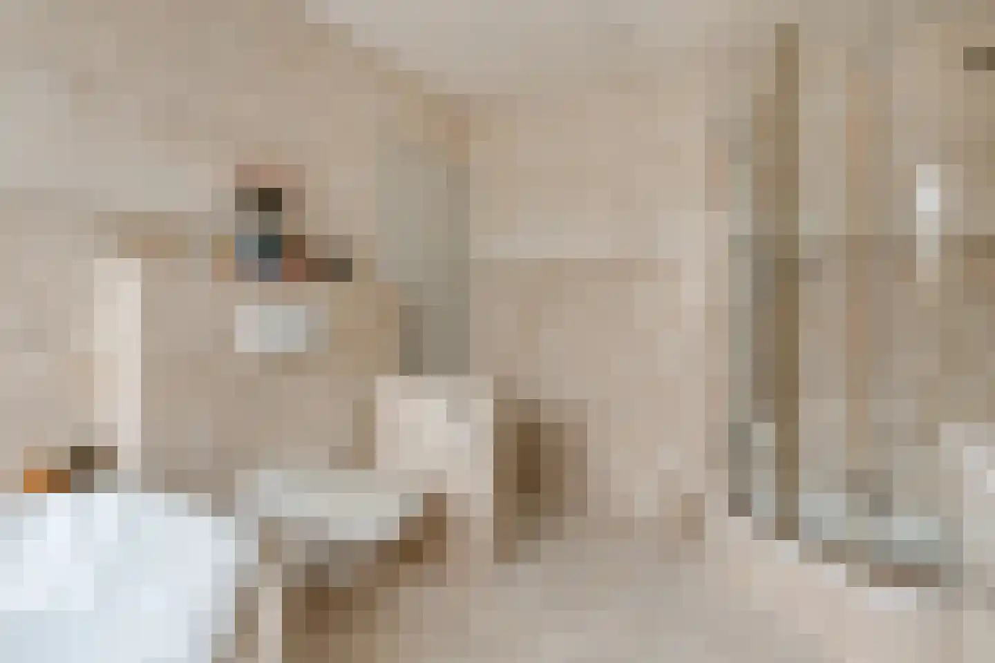 Zaan 1 Pijnacker thumbnail 22