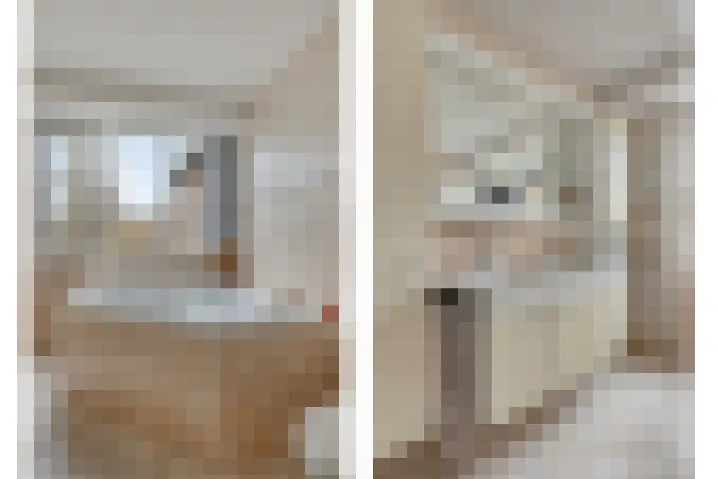 Zaan 1 Pijnacker thumbnail 23