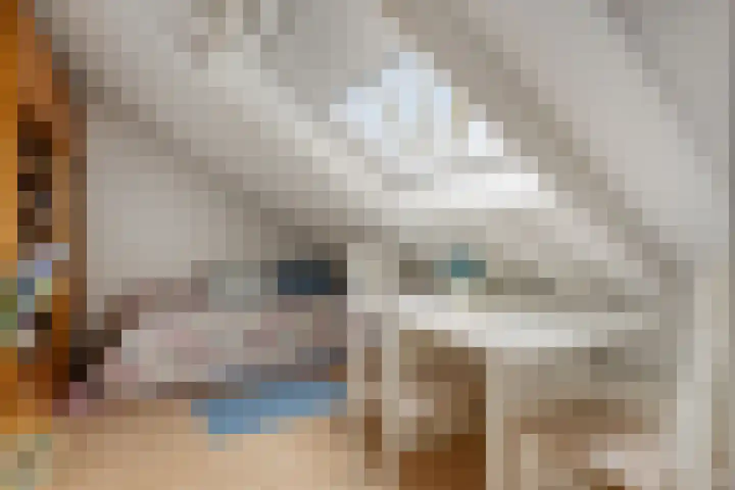 Zaan 1 Pijnacker thumbnail 27