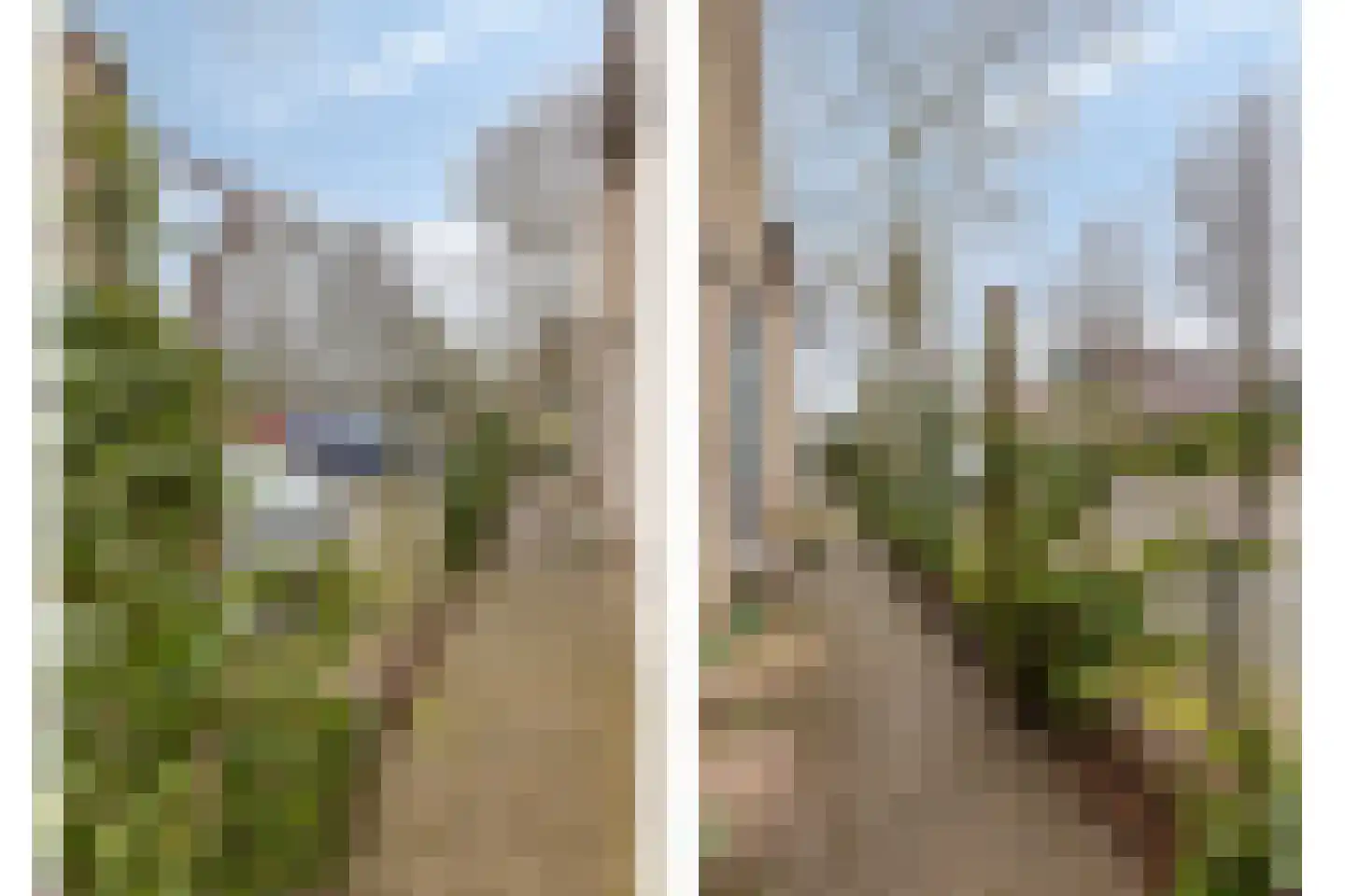 Zaan 1 Pijnacker thumbnail 31