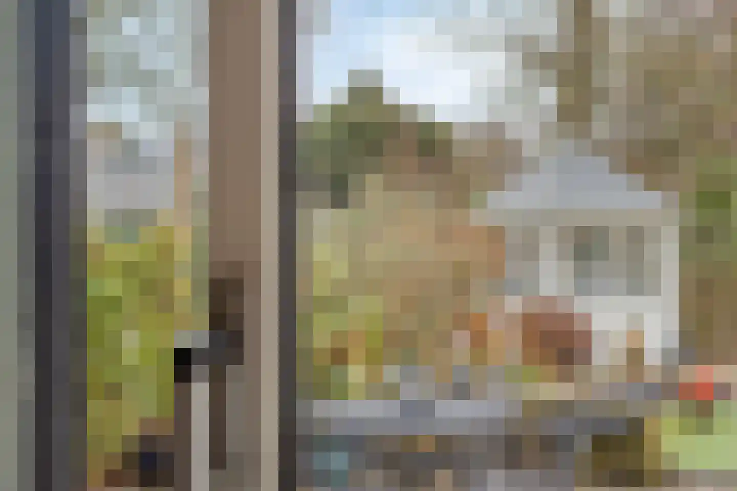 Zaan 1 Pijnacker thumbnail 32