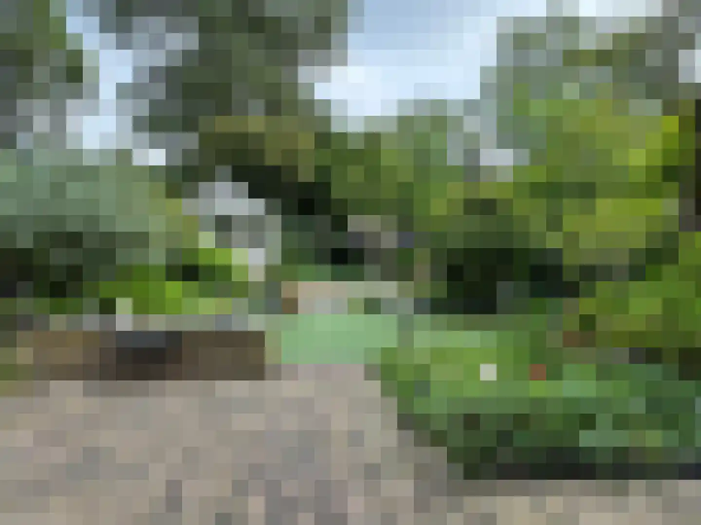 Zaan 1 Pijnacker thumbnail 35