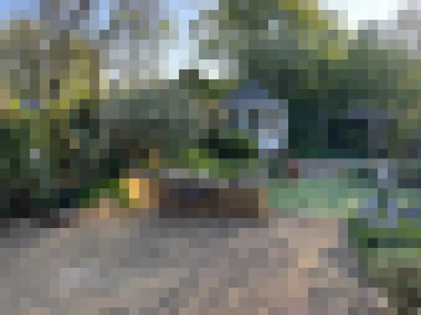 Zaan 1 Pijnacker thumbnail 37