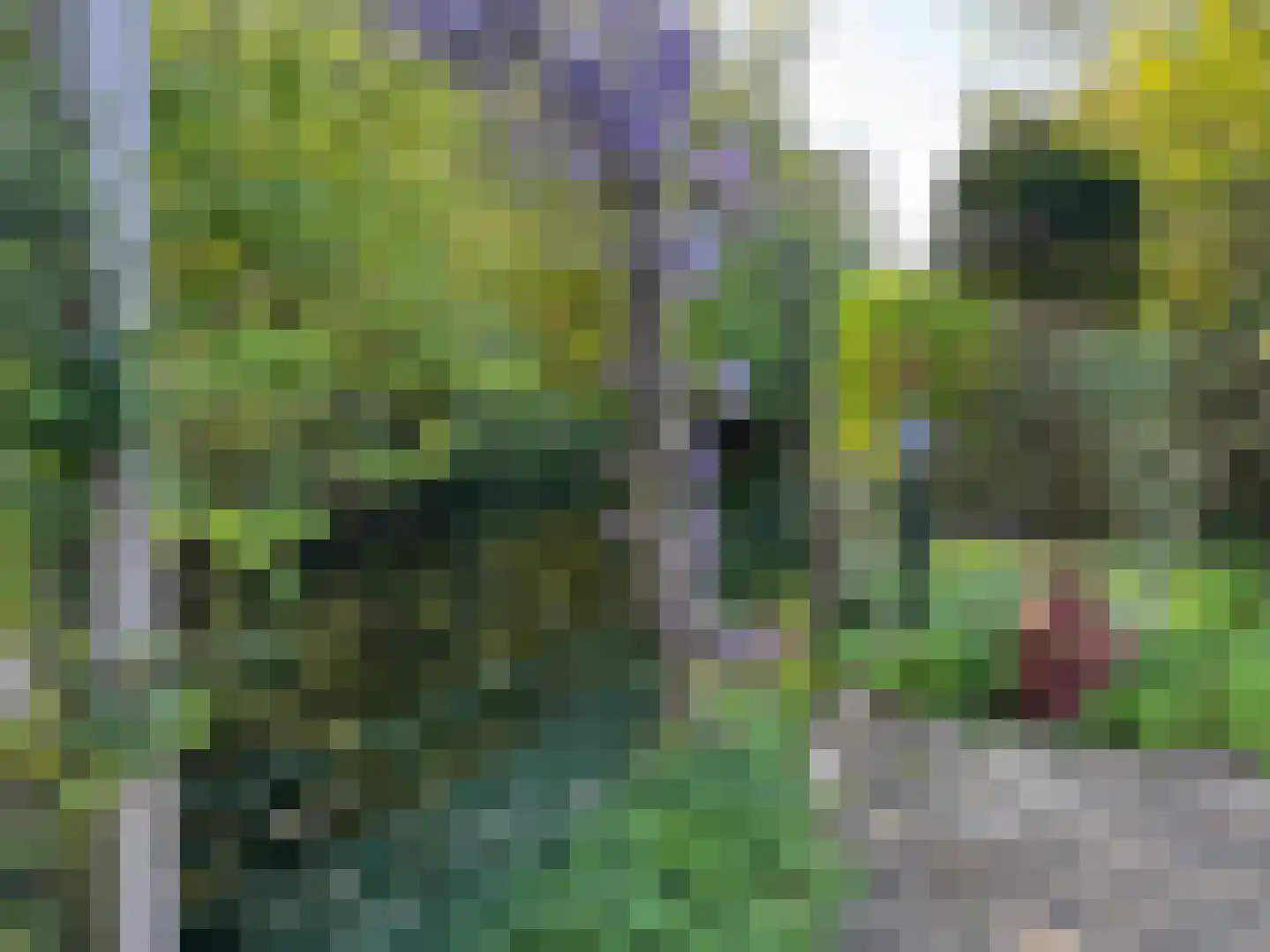 Zaan 1 Pijnacker thumbnail 38