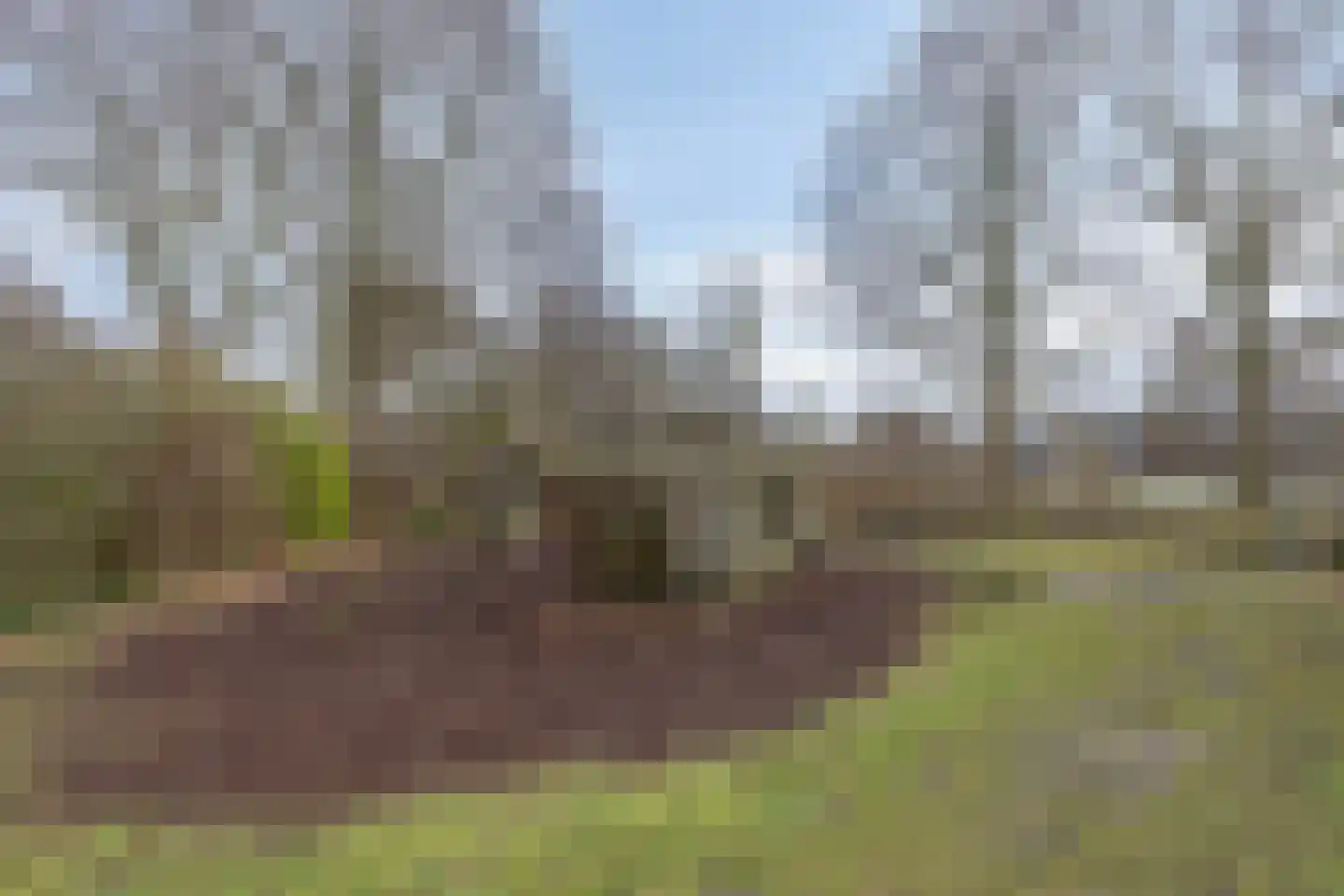 Zaan 1 Pijnacker thumbnail 41