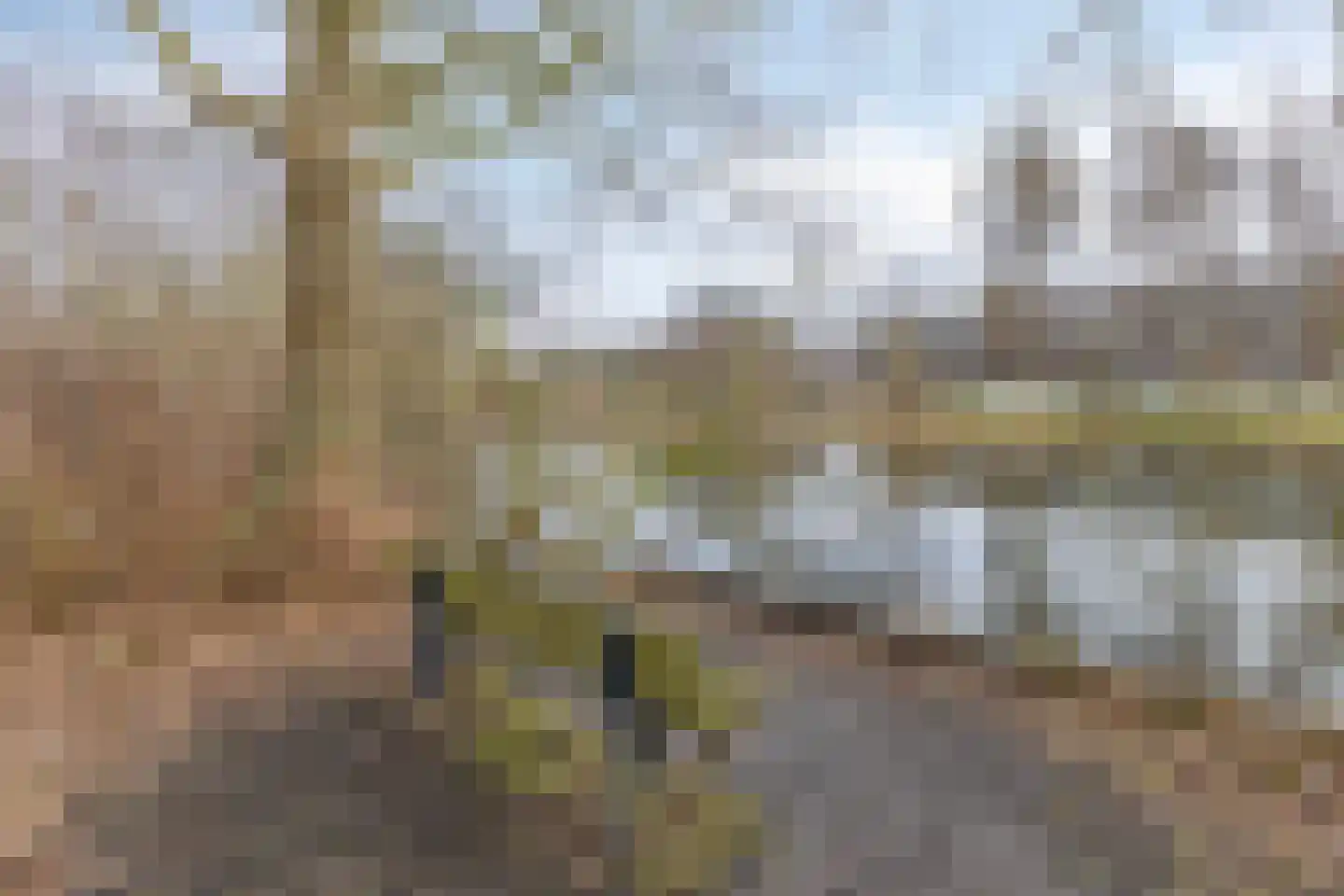 Zaan 1 Pijnacker thumbnail 43