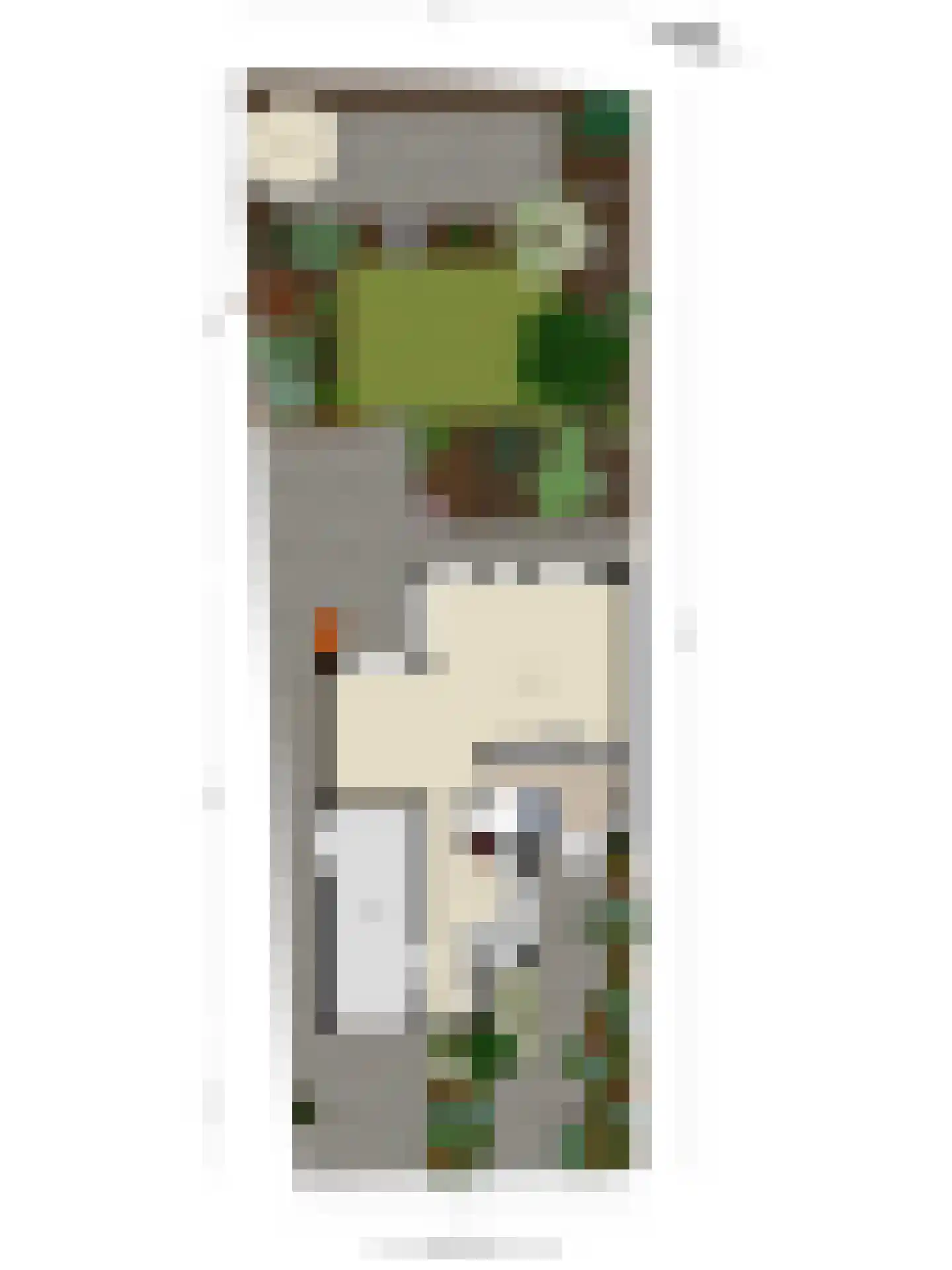 Zaan 1 Pijnacker thumbnail 44